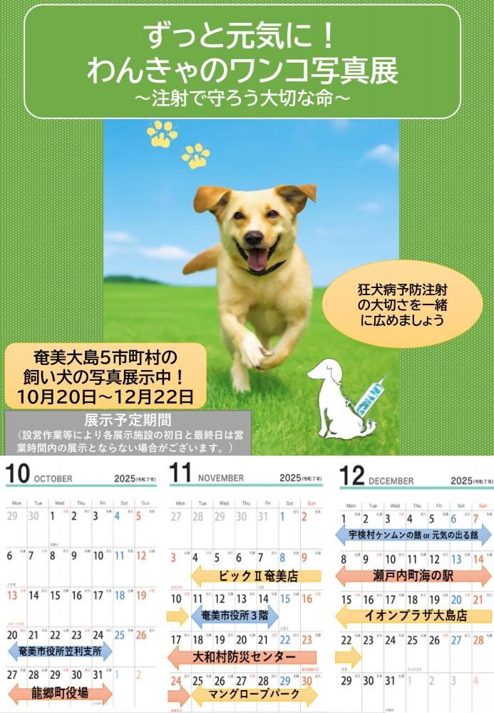 飼い犬写真展