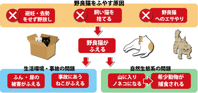 ねこに関する問題