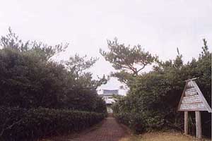 蒲生崎観光公園の様子