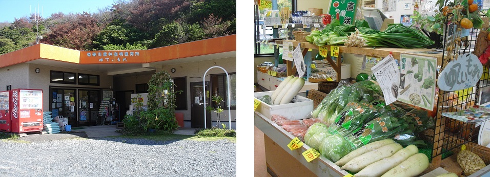 奄美市農林産物直売所