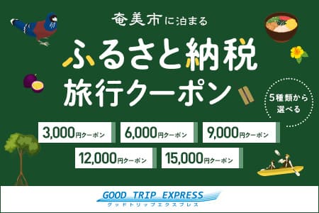 日本空輸旅行クーポン