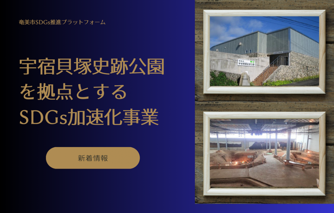 情報発信表紙