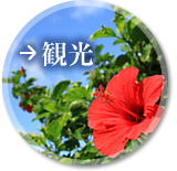 観光