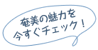 奄美の魅力を今すぐチェック