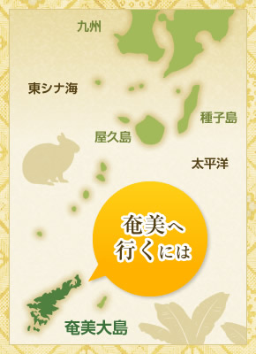 奄美へ行くには