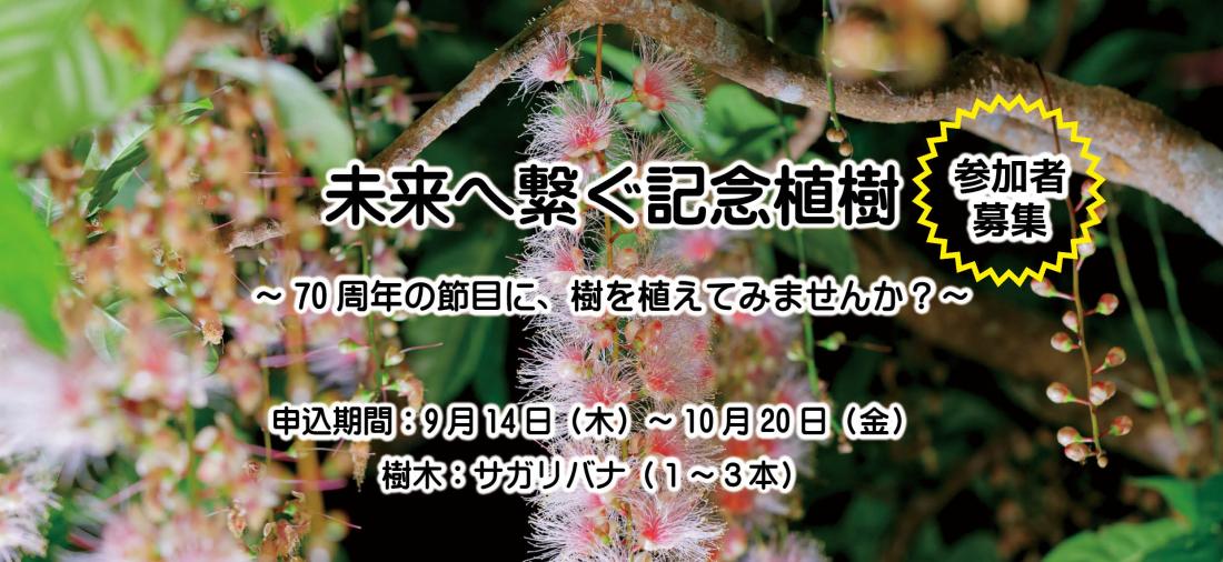 植樹トップ
