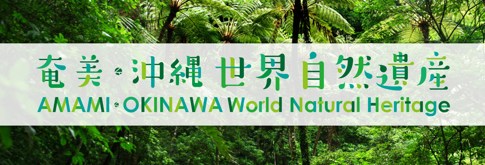 トップ画像：奄美・沖縄世界自然遺産