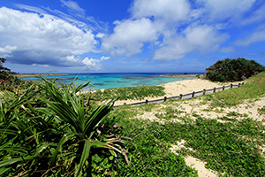 土盛海岸