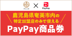 PayPay商品券画像