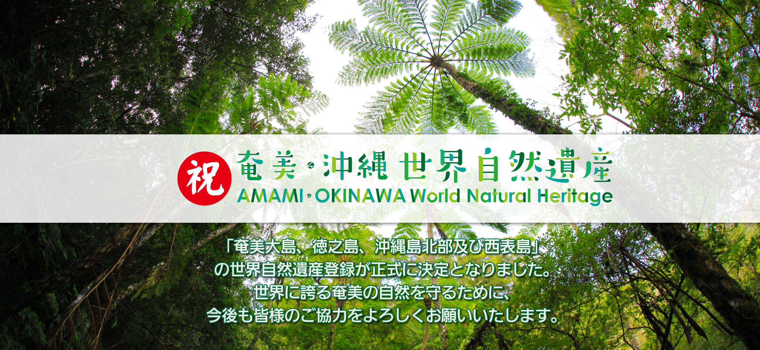 世界自然遺産について 鹿児島県奄美市