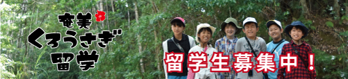 くろうさぎ留学