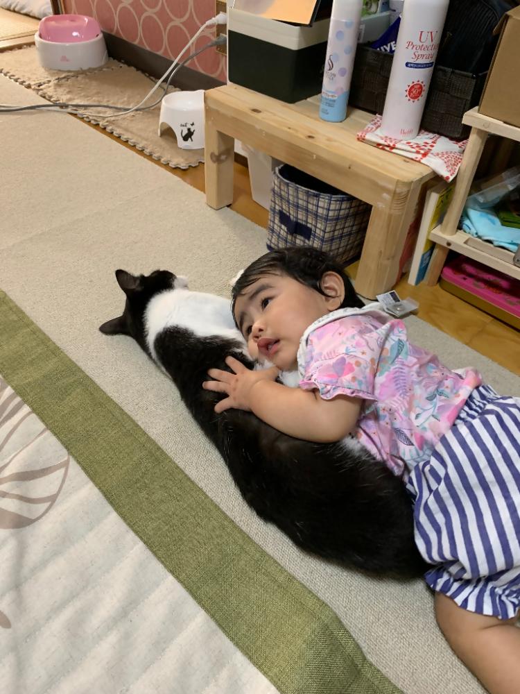 ひでき
