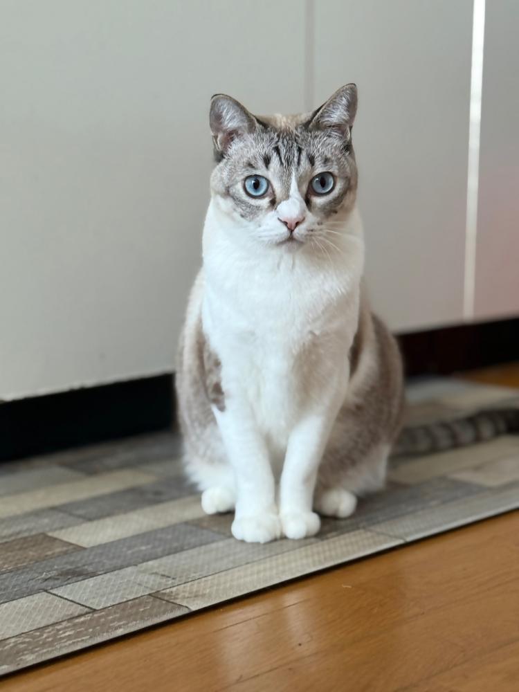空ちゃん