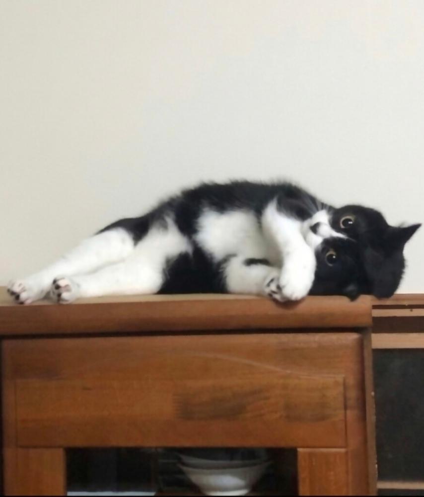 タピ
